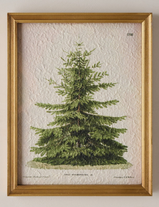 Vintage Christmas Fir Print ($38)