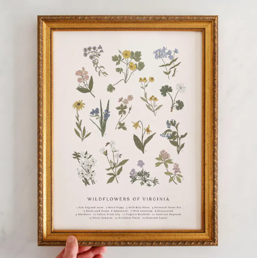 VA Wildflowers Print ($34)
